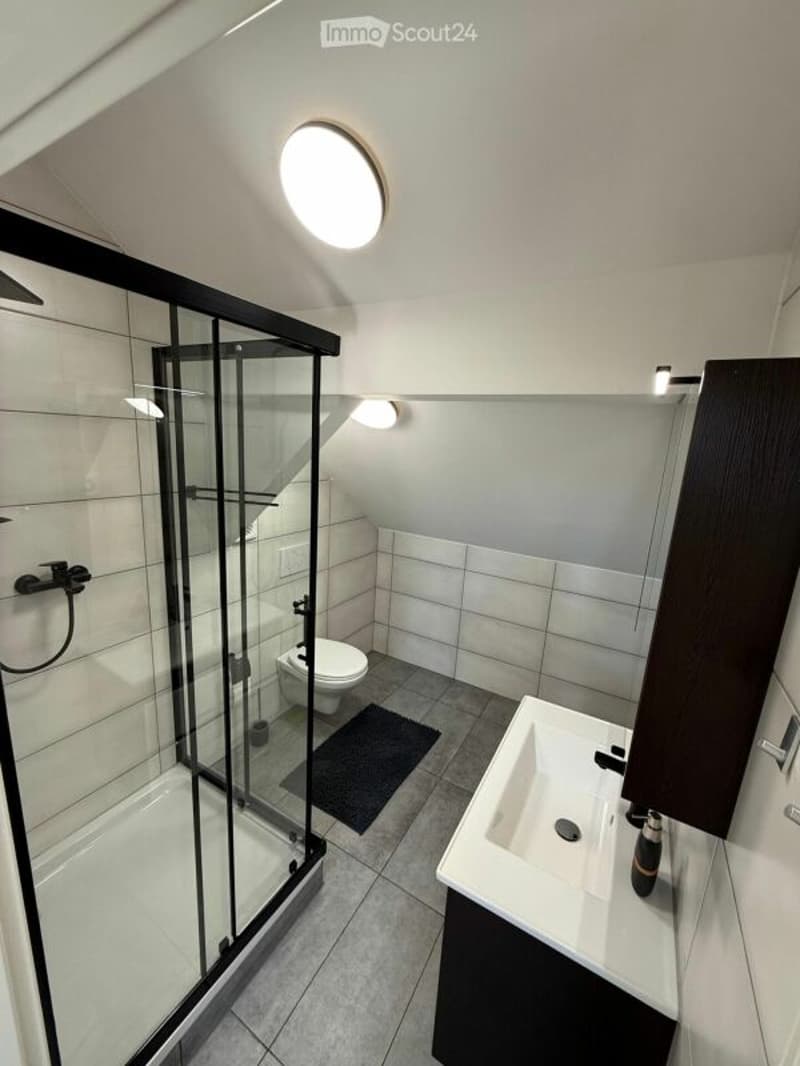 Top Opportunity! Completely Renovated Multi-Family House with Building Land Reserve (18)