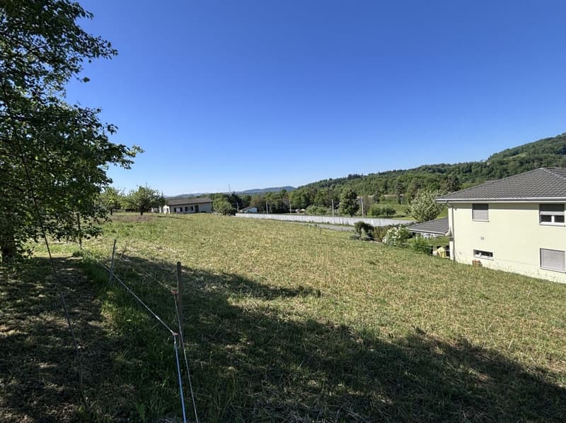 Top Opportunity! Completely Renovated Multi-Family House with Building Land Reserve (11)