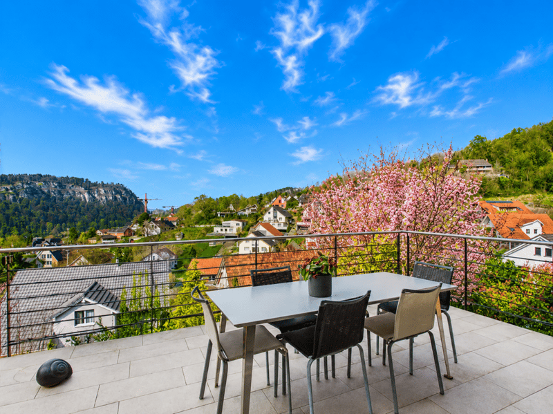 Offenes Wohnen mit viel Freiraum und unverbaubarer Aussicht (1)
