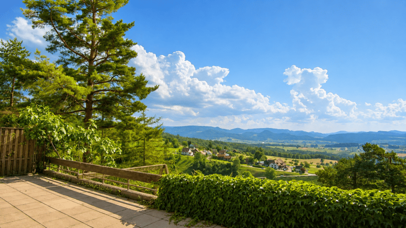 Reserved! Dreamy view, quiet location and 6000m2 land (1)