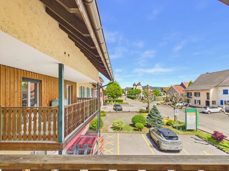 Spacious and Quiet Apartment with Balcony in Alle (11)