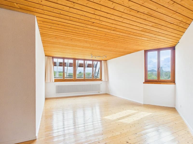 Multi-generation house with a lot of space and a wonderful view (8)