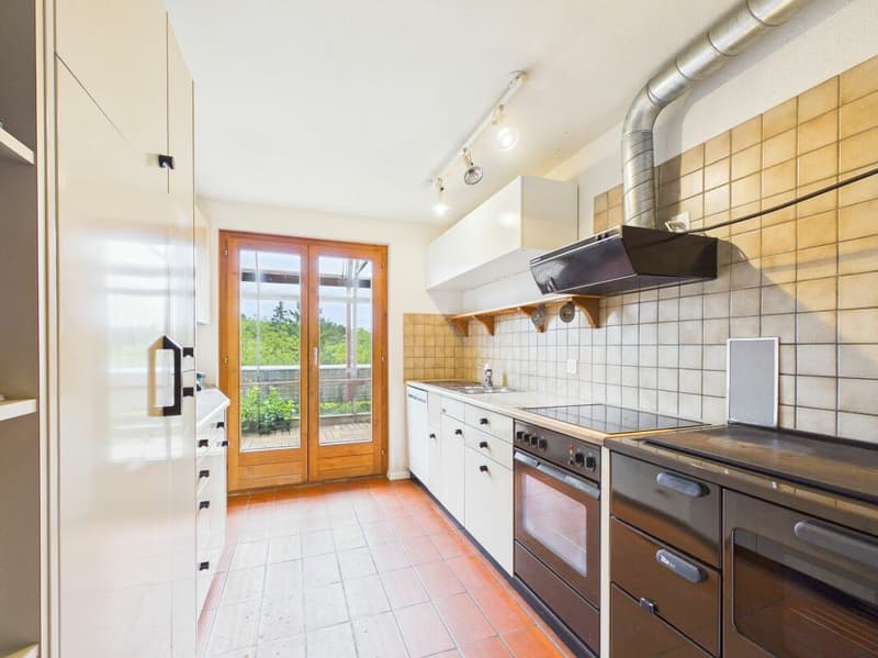 Multi-generation house with a lot of space and a wonderful view (6)