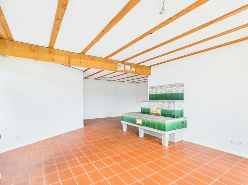 Multi-generation house with a lot of space and a wonderful view (2)