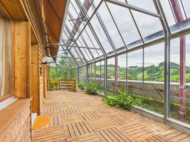 Multi-generation house with a lot of space and a wonderful view (11)