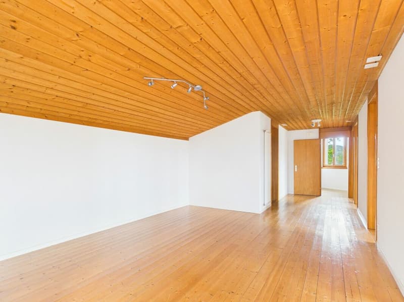 Multi-generation house with a lot of space and a wonderful view (7)