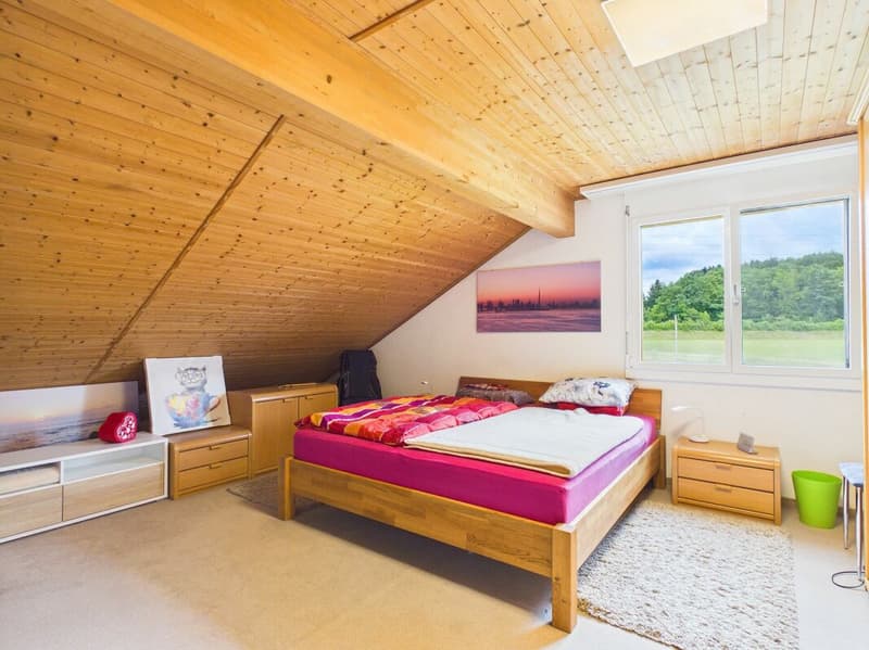Charming Duplex House for Rent in Kölliken (12)