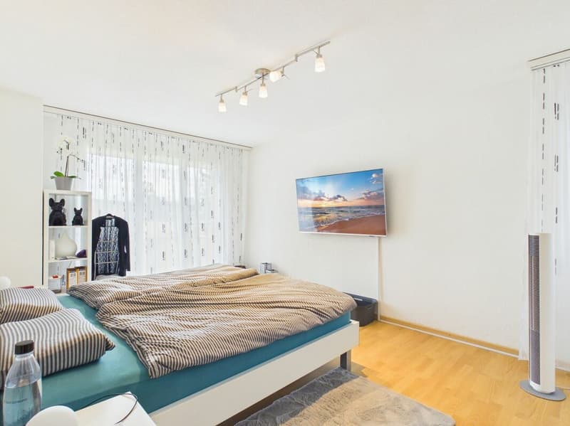 Charming Duplex House for Rent in Kölliken (9)