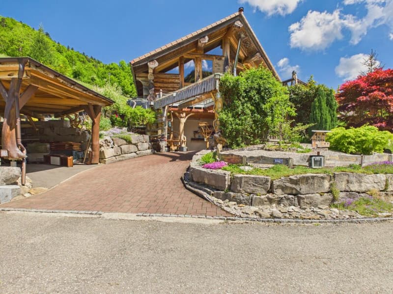 Casa unifamiliare da sogno con vista meravigliosa a Beinwil (1)