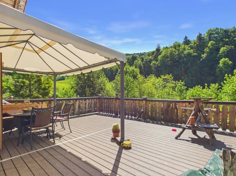 Casa unifamiliare da sogno con vista meravigliosa a Beinwil (3)