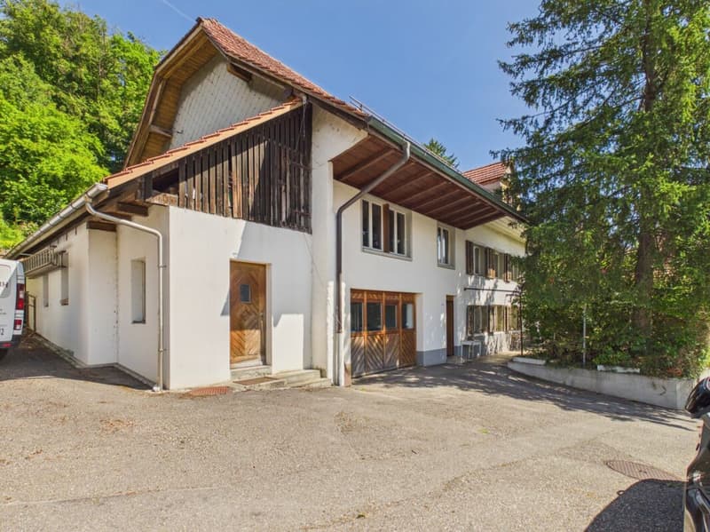 Grande maison de ferme avec beaucoup de potentiel (1)