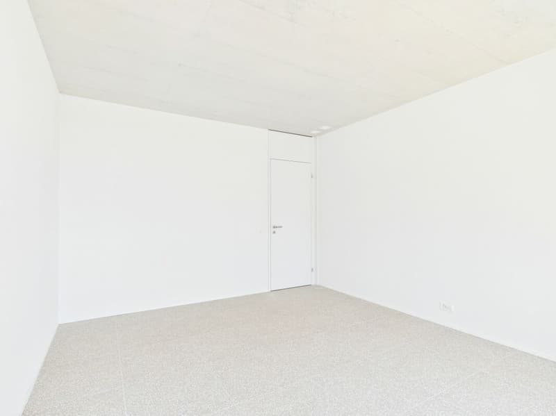 Appartement moderne 4.5 pièces avec vue imprenable sur Aarau (12)