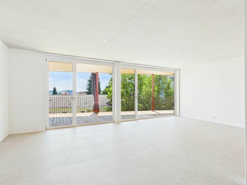 Appartement moderne 4.5 pièces avec vue imprenable sur Aarau (15)