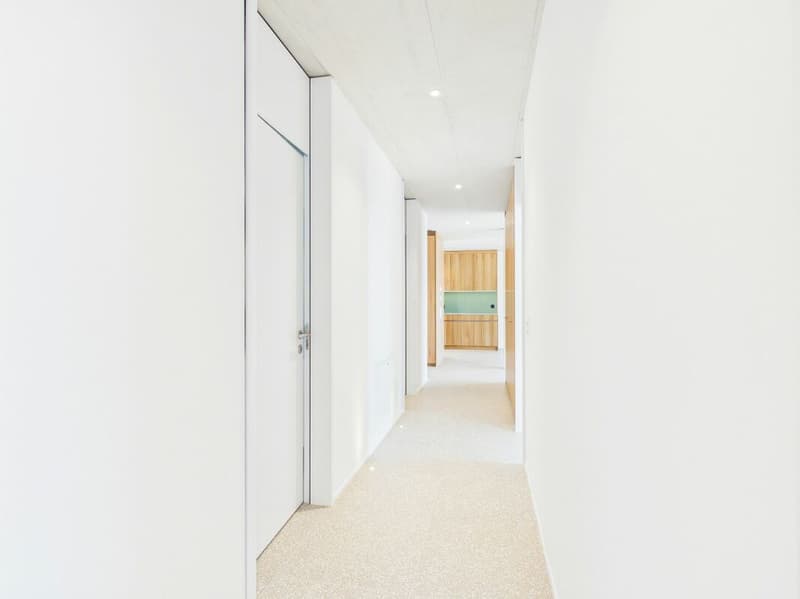 Appartement moderne 4.5 pièces avec vue imprenable sur Aarau (17)