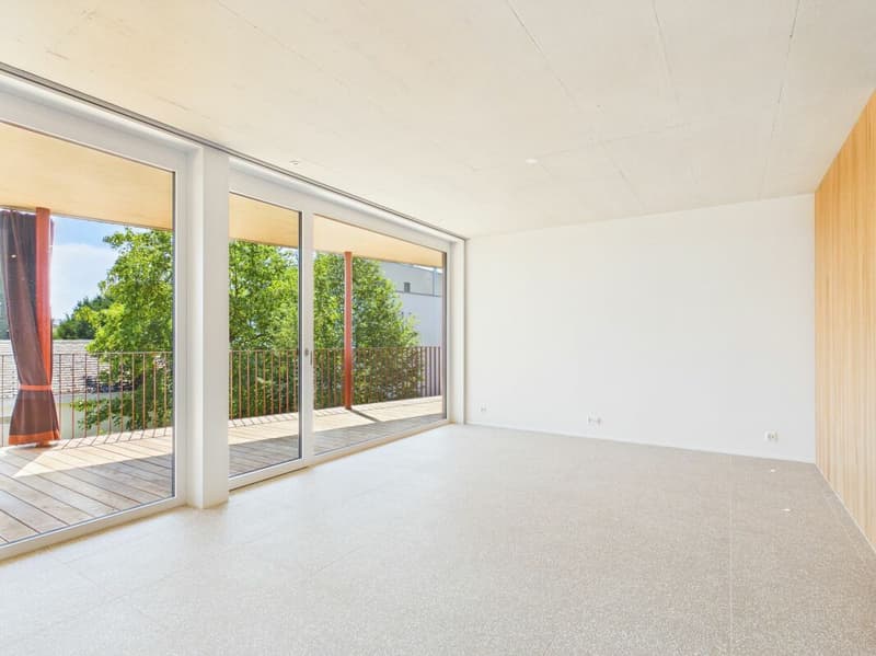 Appartement moderne 4.5 pièces avec vue imprenable sur Aarau (7)