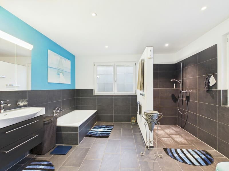 Spacious living area, modern, great view (13)