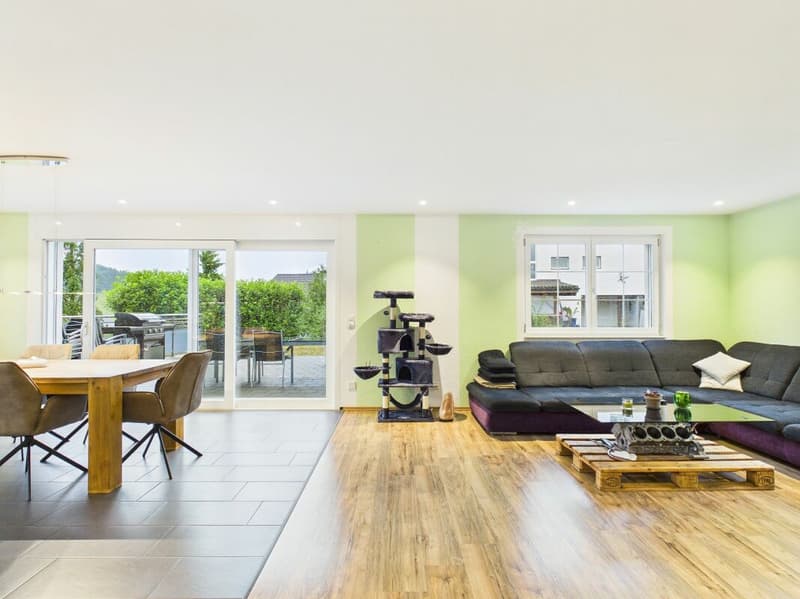 Spacious living area, modern, great view (3)