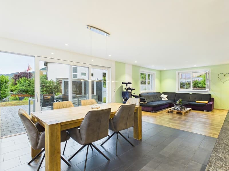 Spacious living area, modern, great view (4)