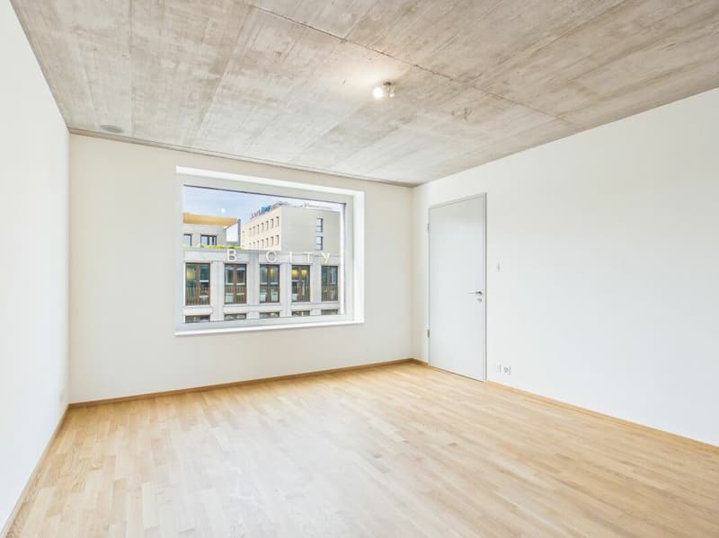 Erstbezug im modernen Neubau - hochwertiges Wohnen mitten in Basel (8)