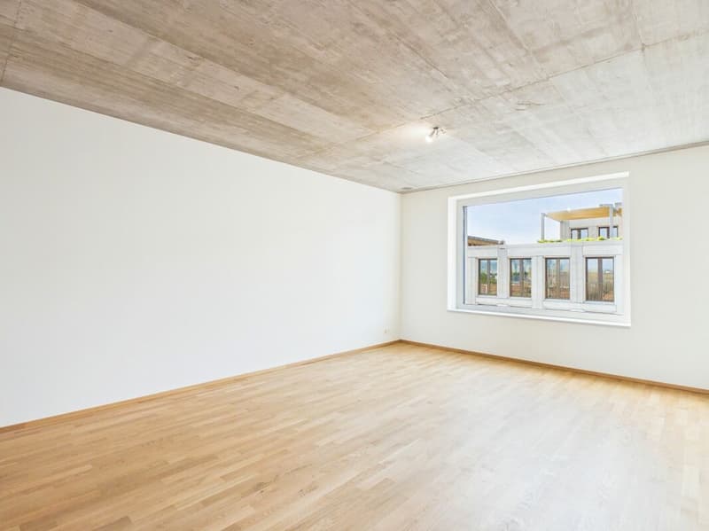 Erstbezug im modernen Neubau - hochwertiges Wohnen mitten in Basel (9)