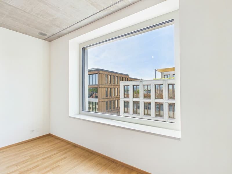 Erstbezug im modernen Neubau - hochwertiges Wohnen mitten in Basel (1)