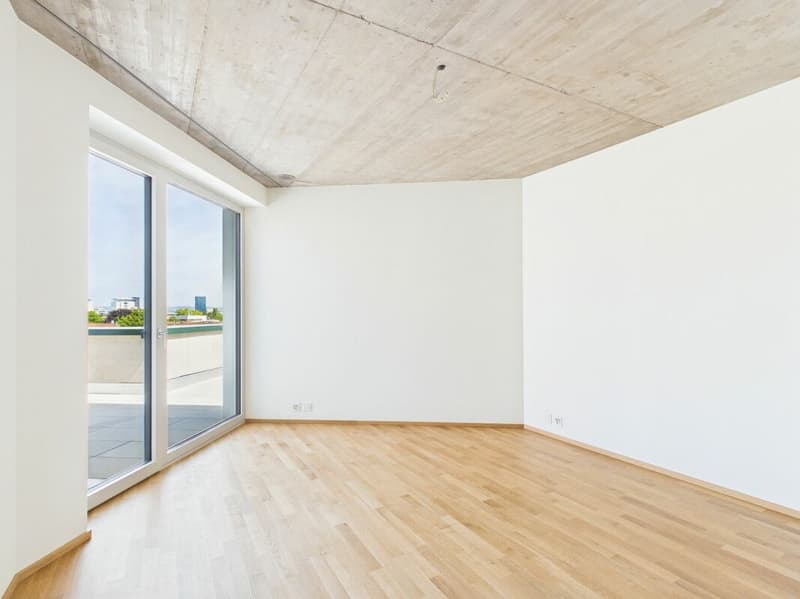 Erstbezug im modernen Neubau - hochwertiges Wohnen mitten in Basel (15)