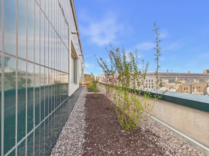 Erstbezug im modernen Neubau - hochwertiges Wohnen mitten in Basel (24)
