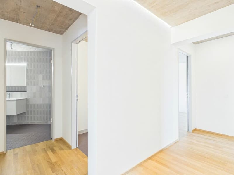 Erstbezug im modernen Neubau - hochwertiges Wohnen mitten in Basel (11)