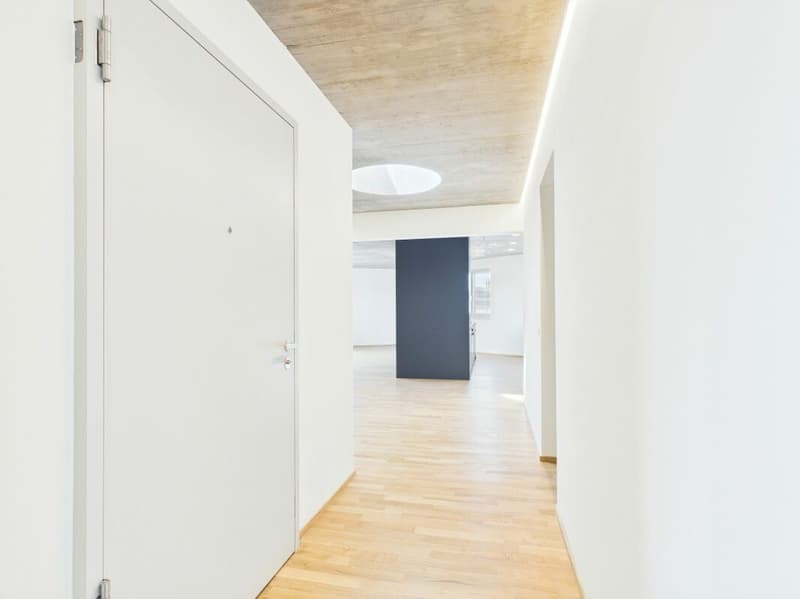 Erstbezug im modernen Neubau - hochwertiges Wohnen mitten in Basel (19)