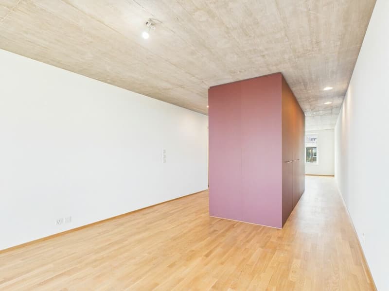 Erstbezug im modernen Neubau - hochwertiges Wohnen mitten in Basel (2)
