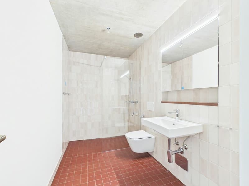 First occupancy in a modern new building - high-quality living in the heart of Basel (2)