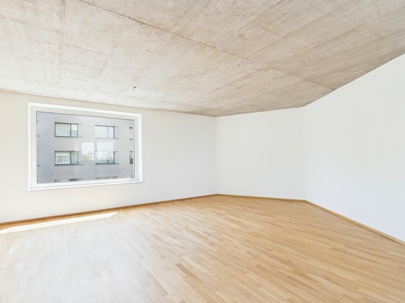 Erstbezug im modernen Neubau - hochwertiges Wohnen mitten in Basel (13)