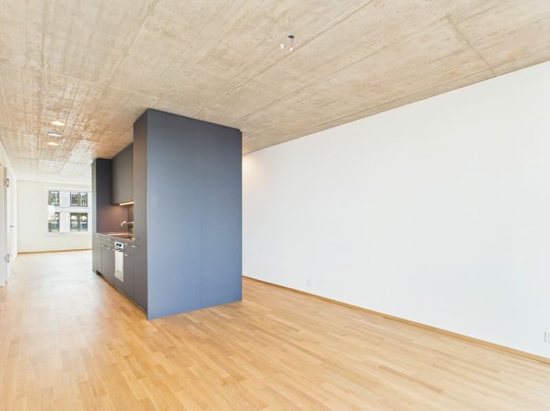Erstbezug im modernen Neubau - hochwertiges Wohnen mitten in Basel (3)