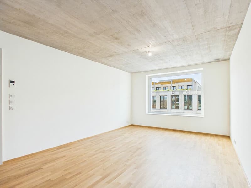 Erstbezug im modernen Neubau - hochwertiges Wohnen mitten in Basel (7)