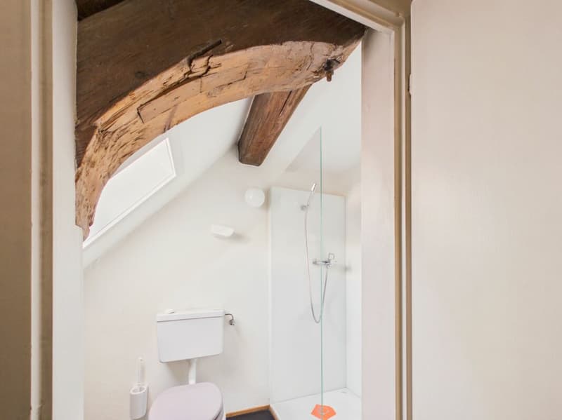 Your new office awaits you in Aarau! (9)