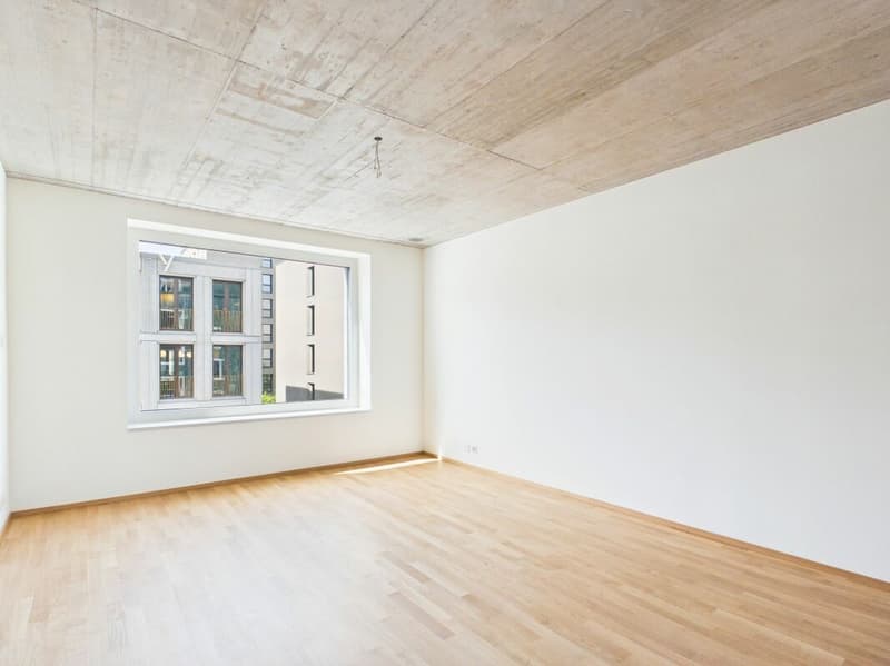 Erstbezug im modernen Neubau - hochwertiges Wohnen mitten in Basel (10)