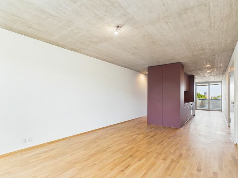 Erstbezug im modernen Neubau - hochwertiges Wohnen mitten in Basel (10)