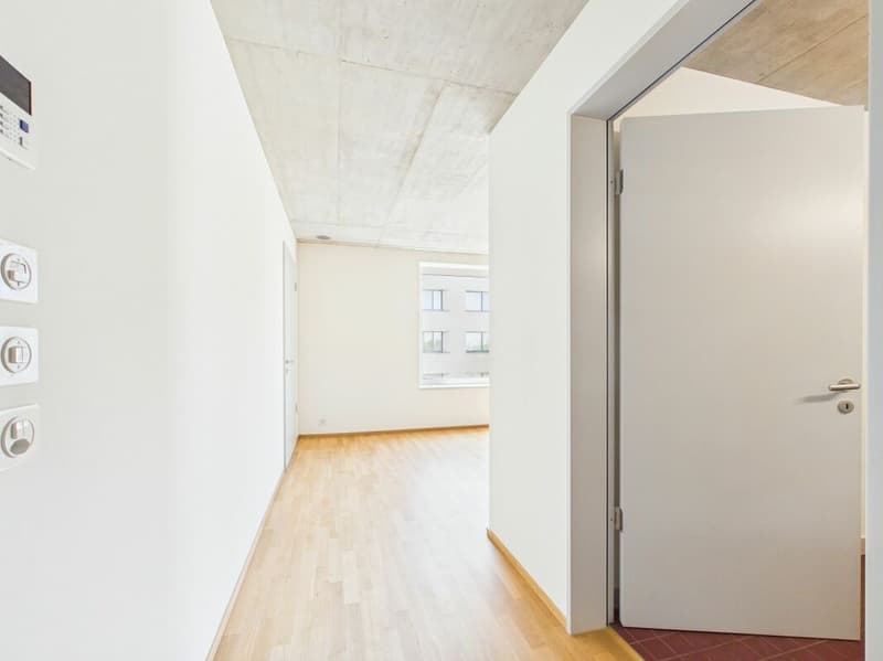 Erstbezug im modernen Neubau - hochwertiges Wohnen mitten in Basel (8)