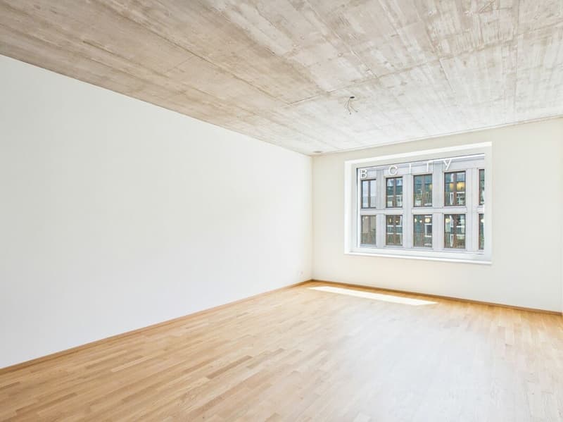 Erstbezug im modernen Neubau - hochwertiges Wohnen mitten in Basel (10)