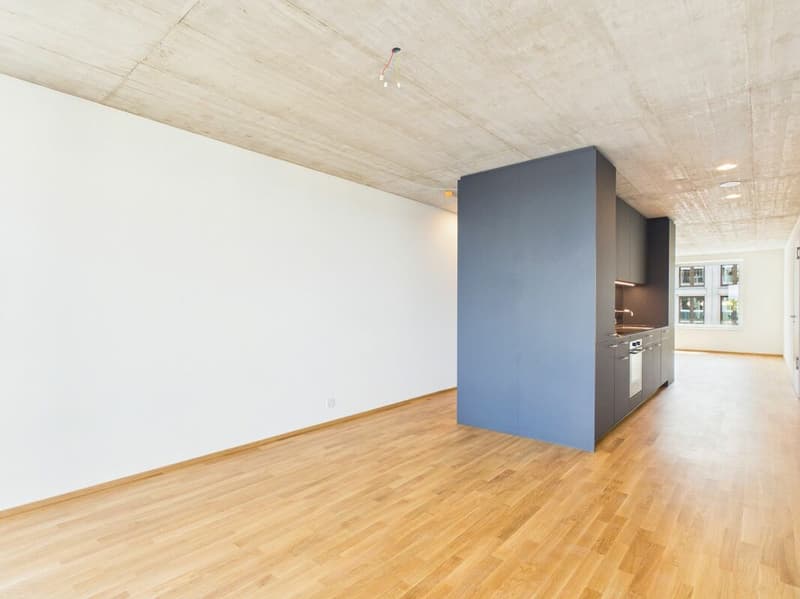 Erstbezug im modernen Neubau - hochwertiges Wohnen mitten in Basel (15)