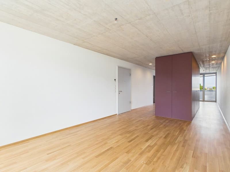 First-time occupancy in a modern new building - high-quality living in the heart of Basel (8)