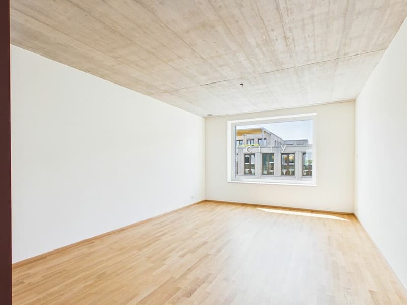 First-time occupancy in a modern new building - high-quality living in the heart of Basel (9)