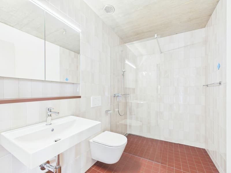 First-time occupancy in a modern new building - high-quality living in the heart of Basel (4)