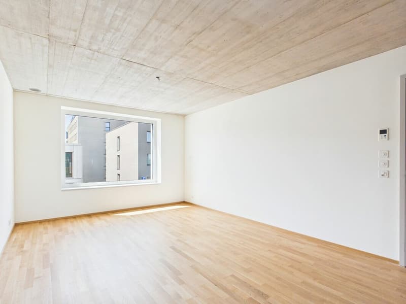 First-time occupancy in a modern new building - high-quality living in the heart of Basel (6)
