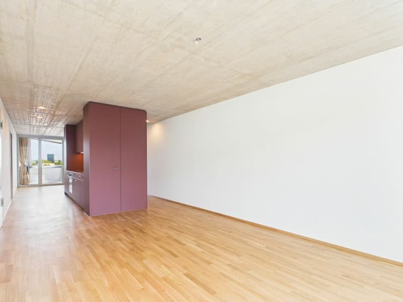 First-time occupancy in a modern new building - high-quality living in the heart of Basel (2)