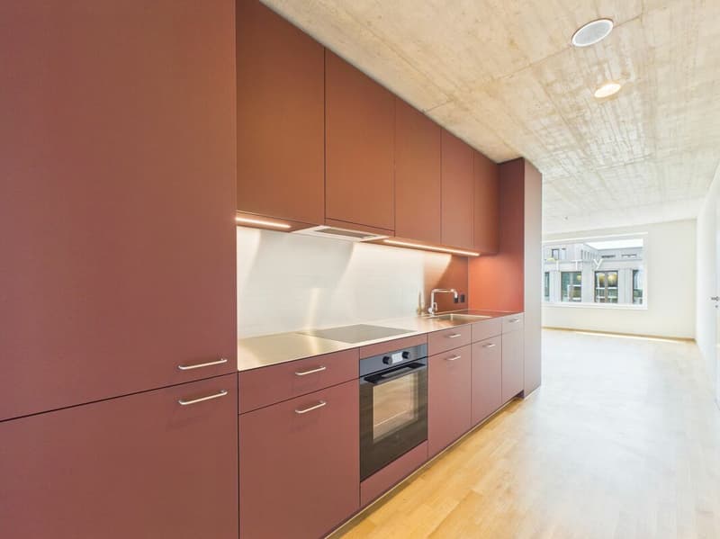 First-time occupancy in a modern new building - high-quality living in the heart of Basel (12)