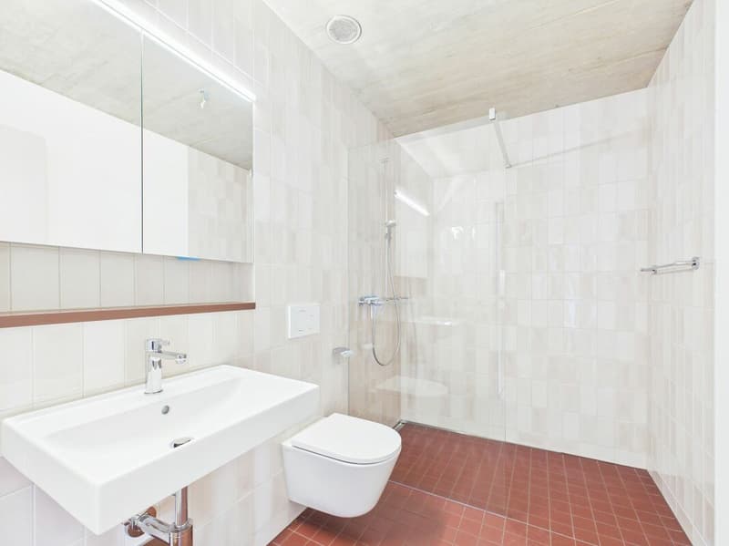 First-time occupancy in a modern new building - high-quality living in the heart of Basel (3)