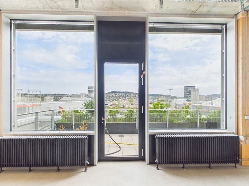 Modern offices in the heart of Zurich's business district?Altstetten (10)