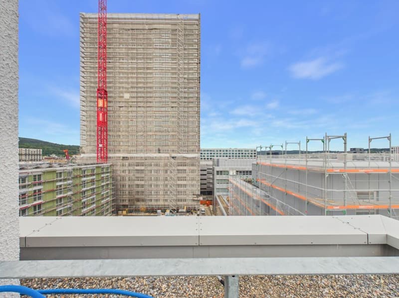 Modern offices in the heart of Zurich's business district?Altstetten (13)