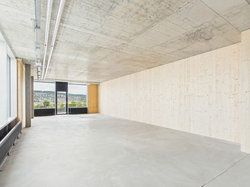 Modern offices in the heart of Zurich's business district?Altstetten (3)